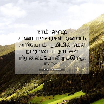 Picture 07 - யோபு 8:9 TAMIRV - நாம் நேற்று - Bible Verse Picture