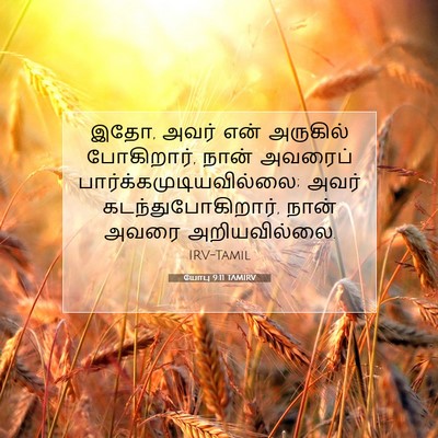 Picture 07 - யோபு 9:11 TAMIRV - இதோ, அவர் என் - Bible Verse Picture