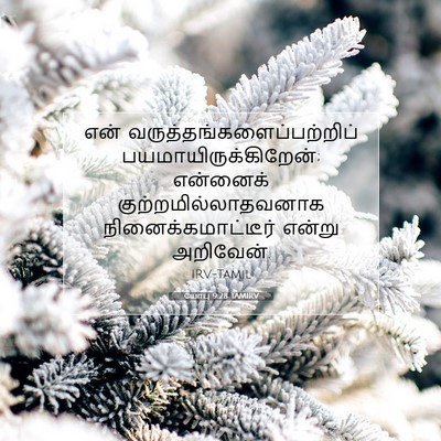 Picture 07 - யோபு 9:28 TAMIRV - என் - Bible Verse Picture