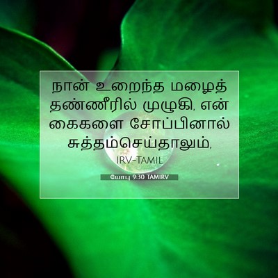 Picture 07 - யோபு 9:30 TAMIRV - நான் உறைந்த மழைத் - Bible Verse Picture