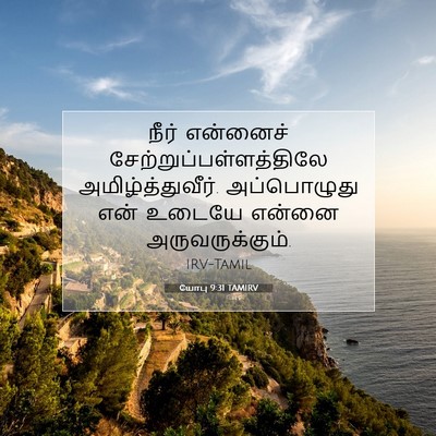 Picture 07 - யோபு 9:31 TAMIRV - நீர் என்னைச் - Bible Verse Picture