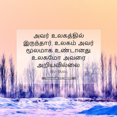 Picture 07 - யோவான் 1:10 TAMIRV - அவர் உலகத்தில் - Bible Verse Picture
