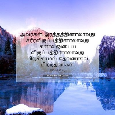 Picture 07 - யோவான் 1:13 TAMIRV - அவர்கள், - Bible Verse Picture