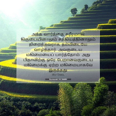Picture 07 - யோவான் 1:14 TAMIRV - அந்த வார்த்தை - Bible Verse Picture