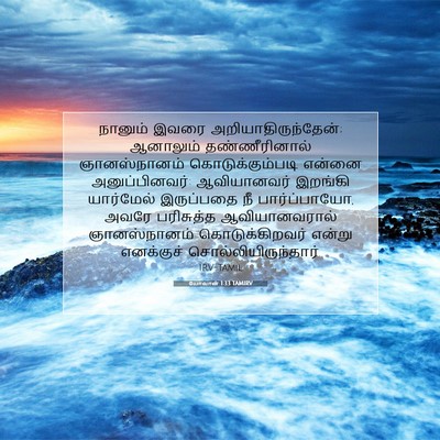 Picture 07 - யோவான் 1:33 TAMIRV - நானும் இவரை - Bible Verse Picture