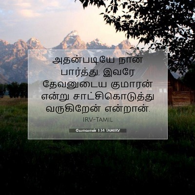 Picture 07 - யோவான் 1:34 TAMIRV - அதன்படியே நான் - Bible Verse Picture