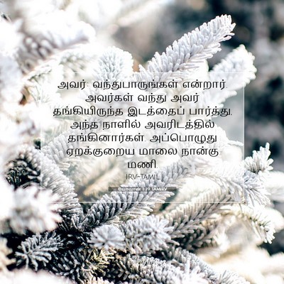 Picture 07 - யோவான் 1:39 TAMIRV - அவர்: - Bible Verse Picture