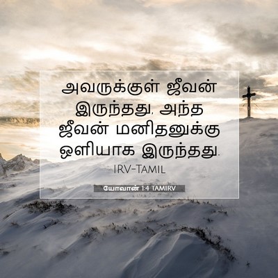 Picture 07 - யோவான் 1:4 TAMIRV - அவருக்குள் ஜீவன் - Bible Verse Picture