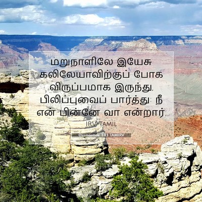 Picture 07 - யோவான் 1:43 TAMIRV - மறுநாளிலே இயேசு - Bible Verse Picture