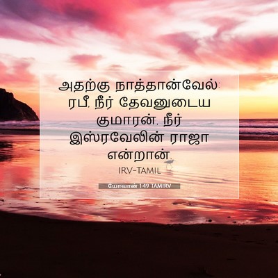 Picture 07 - யோவான் 1:49 TAMIRV - அதற்கு - Bible Verse Picture