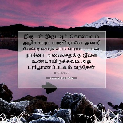 Picture 07 - யோவான் 10:10 TAMIRV - திருடன், - Bible Verse Picture