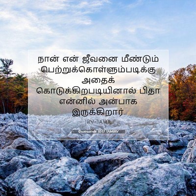 Picture 07 - யோவான் 10:17 TAMIRV - நான் என் ஜீவனை - Bible Verse Picture