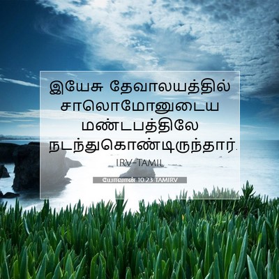 Picture 07 - யோவான் 10:23 TAMIRV - இயேசு - Bible Verse Picture