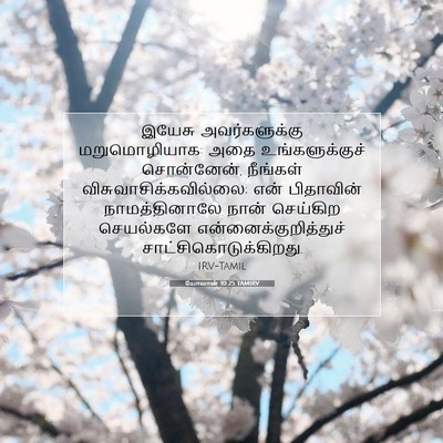 Picture 07 - யோவான் 10:25 TAMIRV - இயேசு அவர்களுக்கு - Bible Verse Picture