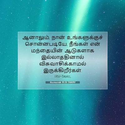 Picture 07 - யோவான் 10:26 TAMIRV - ஆனாலும், நான் - Bible Verse Picture