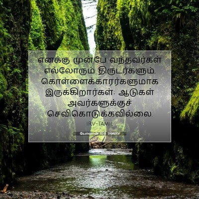 Picture 07 - யோவான் 10:8 TAMIRV - எனக்கு முன்பே - Bible Verse Picture