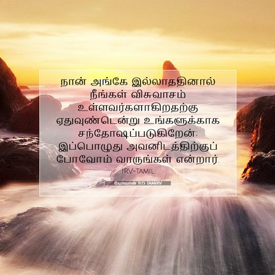 Picture 07 - யோவான் 11:15 TAMIRV - நான் அங்கே - Bible Verse Picture