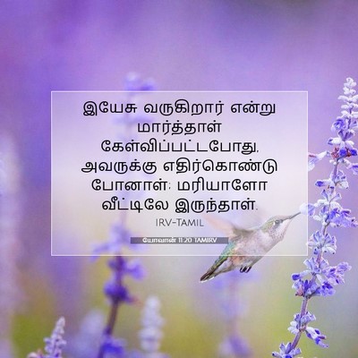 Picture 07 - யோவான் 11:20 TAMIRV - இயேசு வருகிறார் - Bible Verse Picture