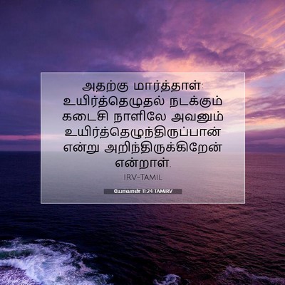 Picture 07 - யோவான் 11:24 TAMIRV - அதற்கு - Bible Verse Picture