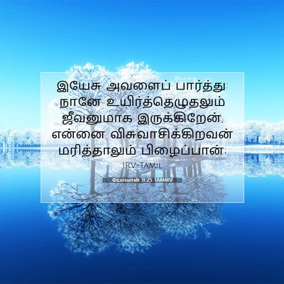 Picture 07 - யோவான் 11:25 TAMIRV - இயேசு அவளைப் - Bible Verse Picture