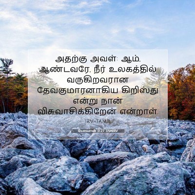 Picture 07 - யோவான் 11:27 TAMIRV - அதற்கு அவள்: ஆம், - Bible Verse Picture