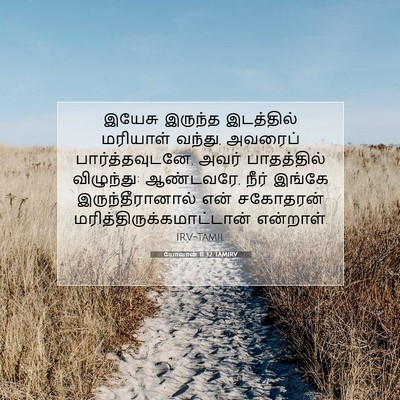 Picture 07 - யோவான் 11:32 TAMIRV - இயேசு இருந்த - Bible Verse Picture