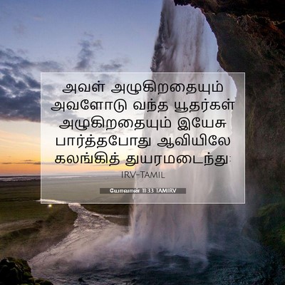 Picture 07 - யோவான் 11:33 TAMIRV - அவள் அழுகிறதையும் - Bible Verse Picture