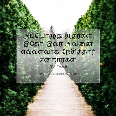 Picture 07 - யோவான் 11:36 TAMIRV - அப்பொழுது - Bible Verse Picture