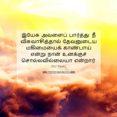 Picture 07 - யோவான் 11:40 TAMIRV - இயேசு அவளைப் - Bible Verse Picture