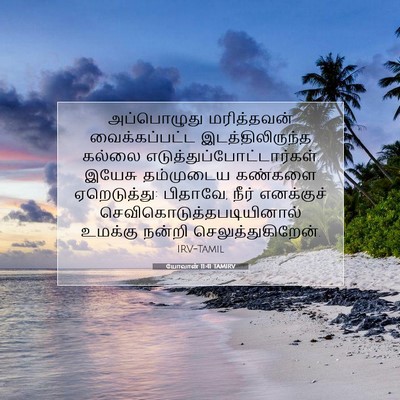 Picture 07 - யோவான் 11:41 TAMIRV - அப்பொழுது - Bible Verse Picture