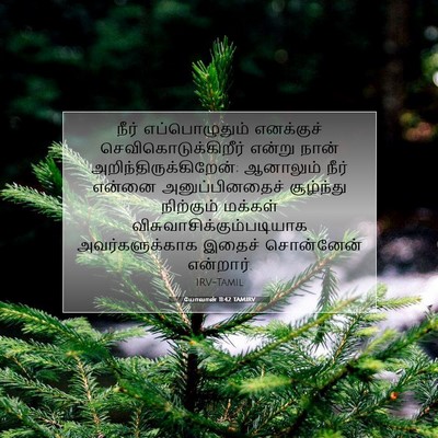 Picture 07 - யோவான் 11:42 TAMIRV - நீர் எப்பொழுதும் - Bible Verse Picture