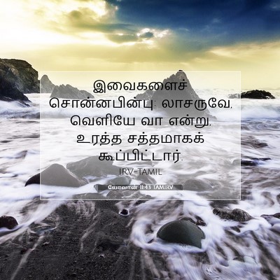 Picture 07 - யோவான் 11:43 TAMIRV - இவைகளைச் - Bible Verse Picture