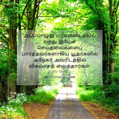 Picture 07 - யோவான் 11:45 TAMIRV - அப்பொழுது - Bible Verse Picture