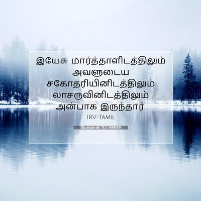 Picture 07 - யோவான் 11:5 TAMIRV - இயேசு - Bible Verse Picture