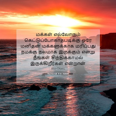 Picture 07 - யோவான் 11:50 TAMIRV - மக்கள் எல்லோரும் - Bible Verse Picture