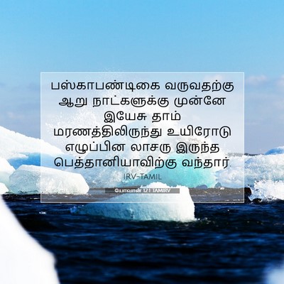 Picture 07 - யோவான் 12:1 TAMIRV - பஸ்காபண்டிகை - Bible Verse Picture