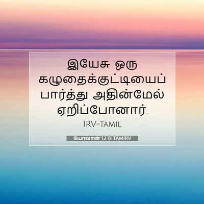 Picture 07 - யோவான் 12:15 TAMIRV - இயேசு ஒரு - Bible Verse Picture
