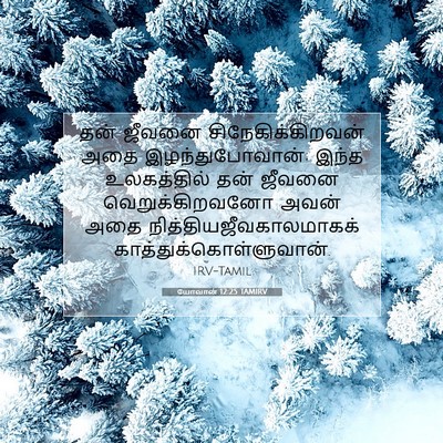 Picture 07 - யோவான் 12:25 TAMIRV - தன் ஜீவனை - Bible Verse Picture
