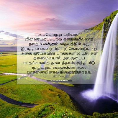 Picture 07 - யோவான் 12:3 TAMIRV - அப்பொழுது மரியாள் - Bible Verse Picture
