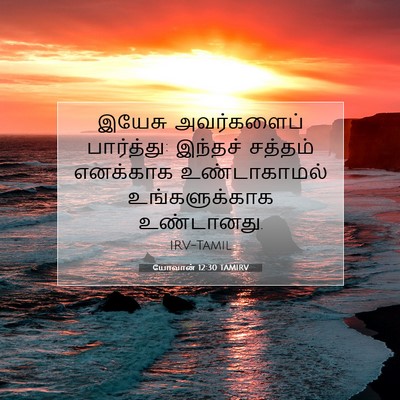 Picture 07 - யோவான் 12:30 TAMIRV - இயேசு அவர்களைப் - Bible Verse Picture