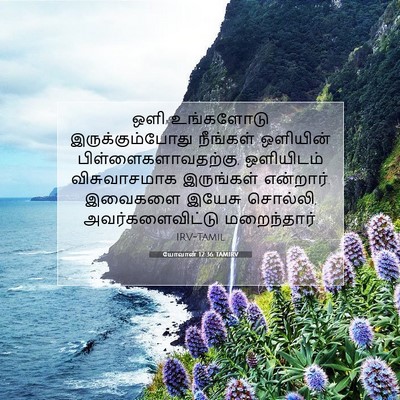 Picture 07 - யோவான் 12:36 TAMIRV - ஒளி உங்களோடு - Bible Verse Picture