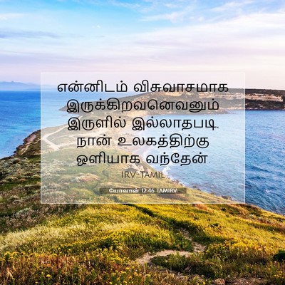 Picture 07 - யோவான் 12:46 TAMIRV - என்னிடம் - Bible Verse Picture