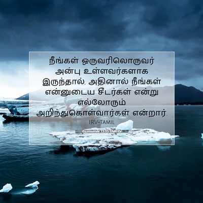 Picture 07 - யோவான் 13:35 TAMIRV - நீங்கள் - Bible Verse Picture