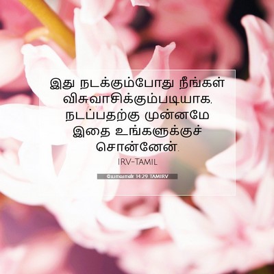 Picture 07 - யோவான் 14:29 TAMIRV - இது நடக்கும்போது - Bible Verse Picture