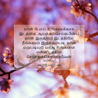 Picture 07 - யோவான் 14:3 TAMIRV - நான் போய் - Bible Verse Picture