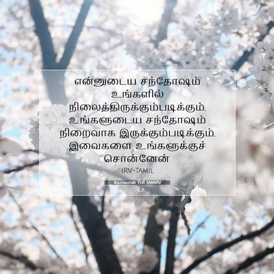 Picture 07 - யோவான் 15:11 TAMIRV - என்னுடைய சந்தோஷம் - Bible Verse Picture