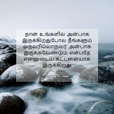Picture 07 - யோவான் 15:12 TAMIRV - நான் உங்களில் - Bible Verse Picture