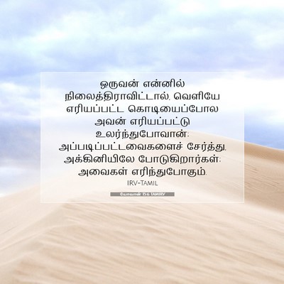 Picture 07 - யோவான் 15:6 TAMIRV - ஒருவன் என்னில் - Bible Verse Picture
