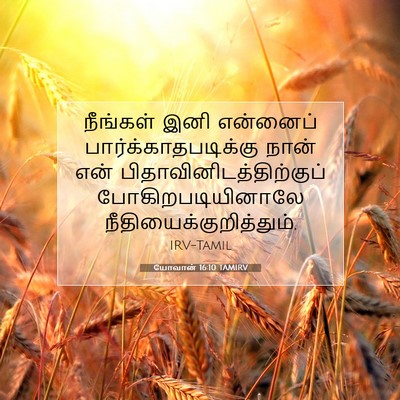 Picture 07 - யோவான் 16:10 TAMIRV - நீங்கள் இனி - Bible Verse Picture