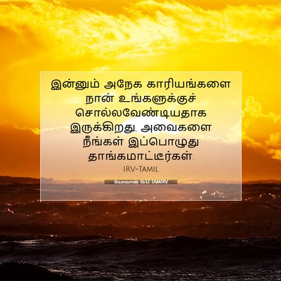 Picture 07 - யோவான் 16:12 TAMIRV - இன்னும் அநேக - Bible Verse Picture